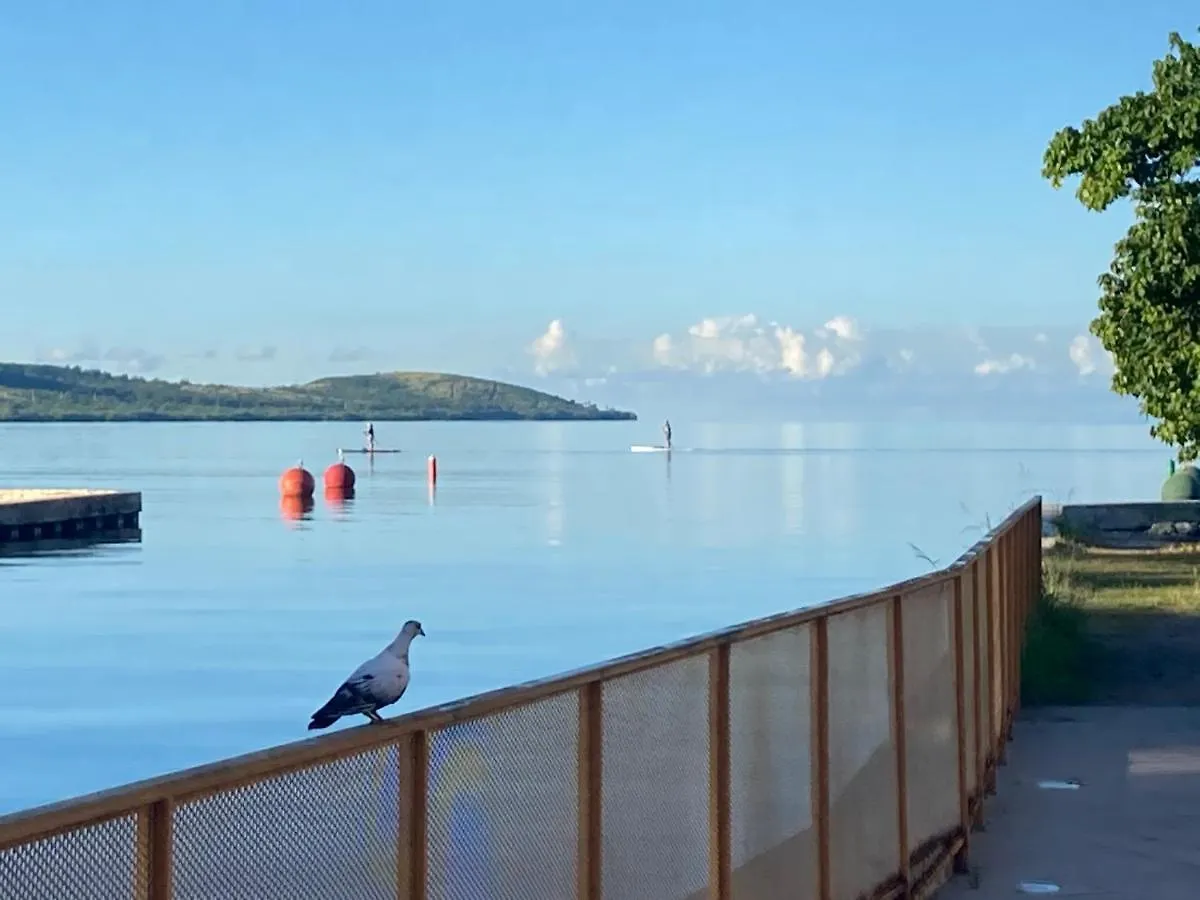 Wild Flowers Rooms Boqueron
